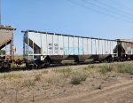 MWCX 463650